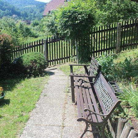Privat Zelezny Brod Apartment Bagian luar foto