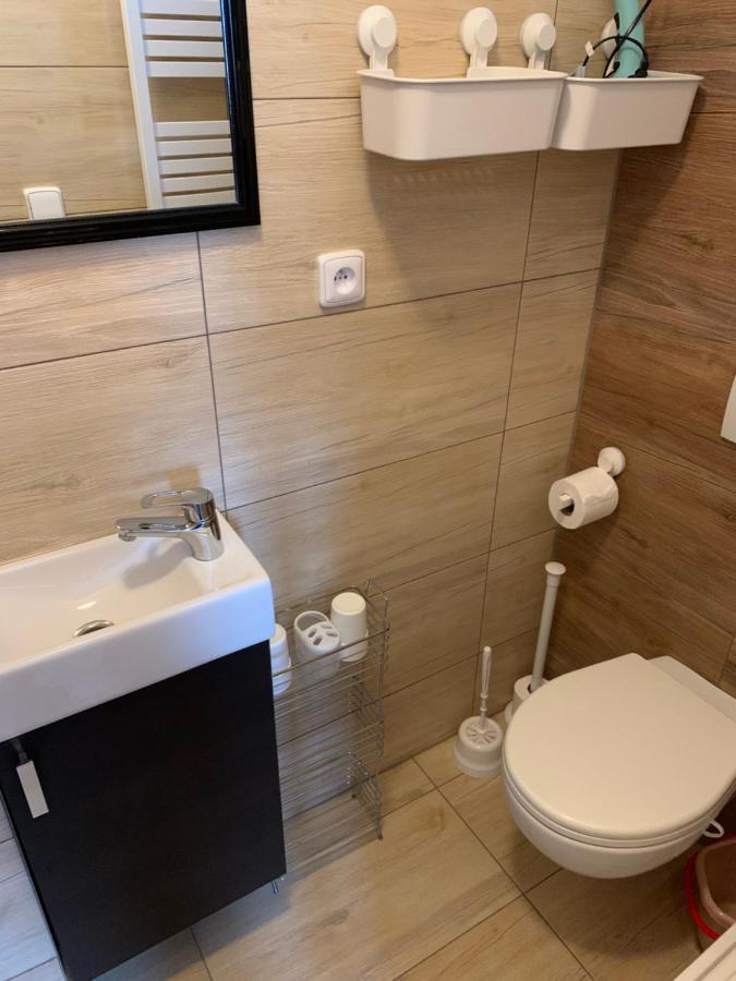 Privat Zelezny Brod Apartment Bagian luar foto