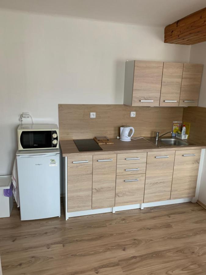 Privat Zelezny Brod Apartment Bagian luar foto