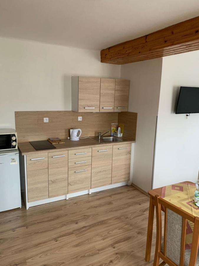 Privat Zelezny Brod Apartment Bagian luar foto