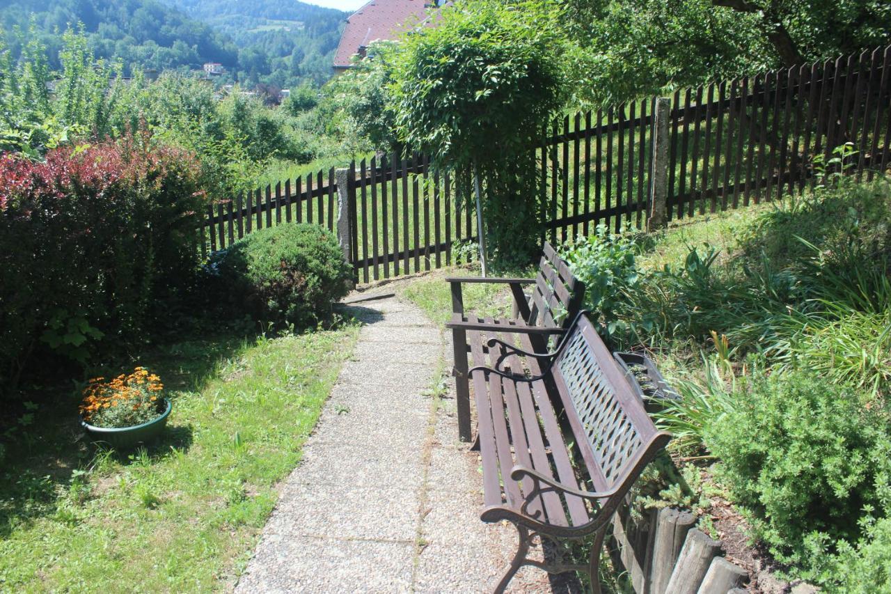 Privat Zelezny Brod Apartment Bagian luar foto