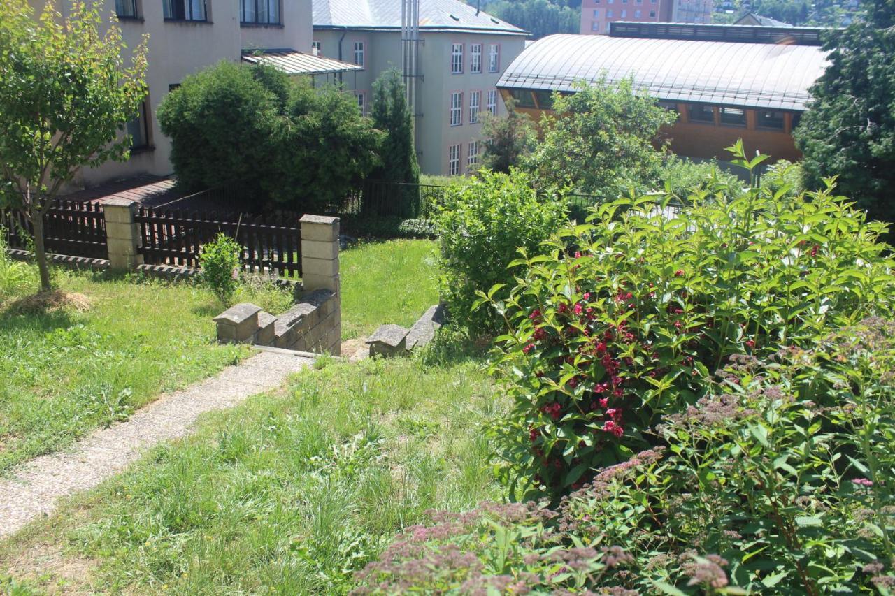 Privat Zelezny Brod Apartment Bagian luar foto